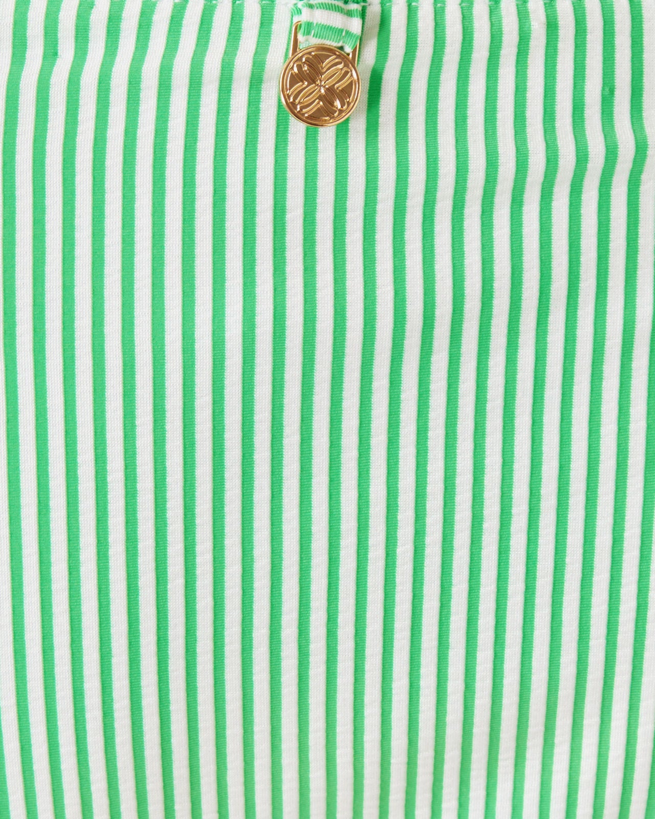 Mal Bikini Bottom in Fauna Green Seersucker Stripe