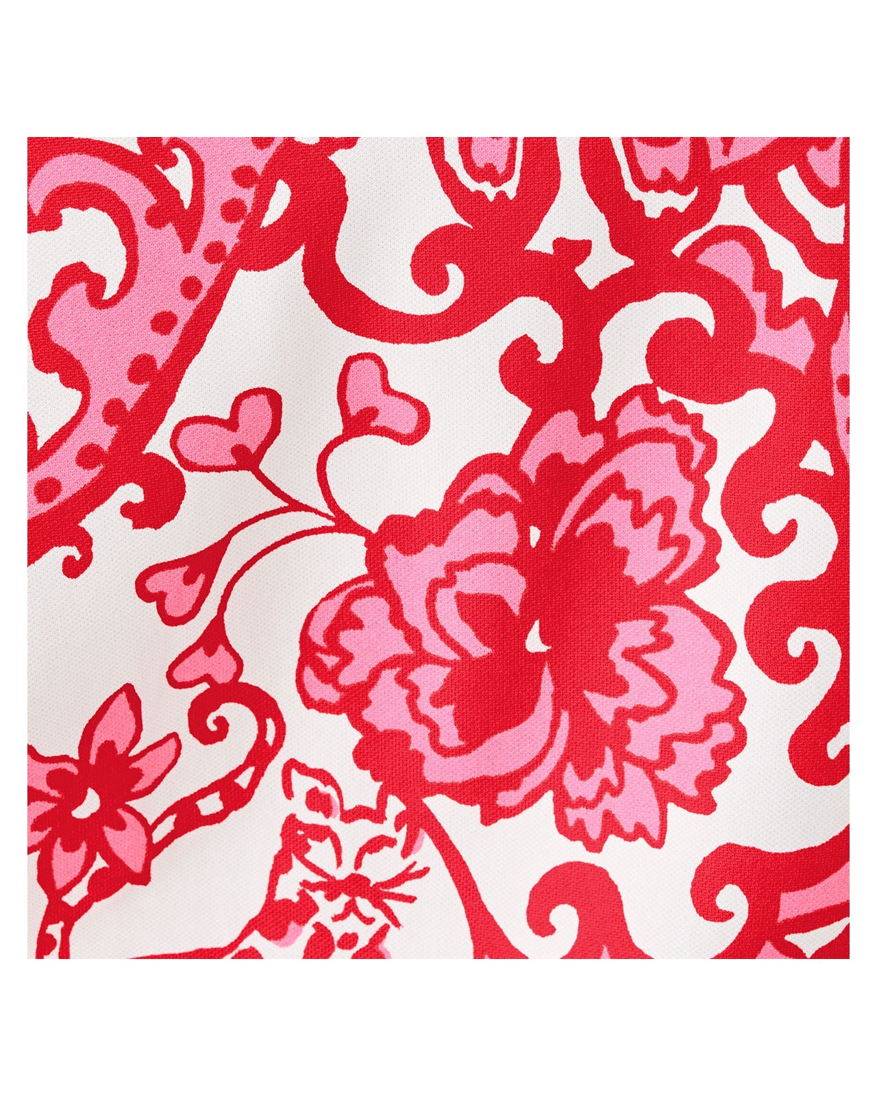 Coconut Spicy Socialite