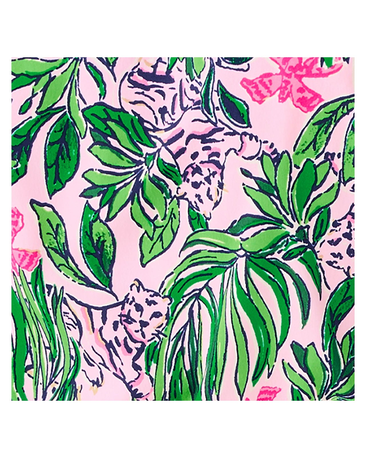 Conch Shell Pink Roaring With Joy