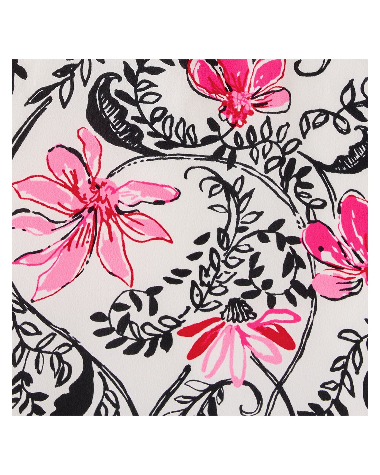 Coconut Sunshine Seekers