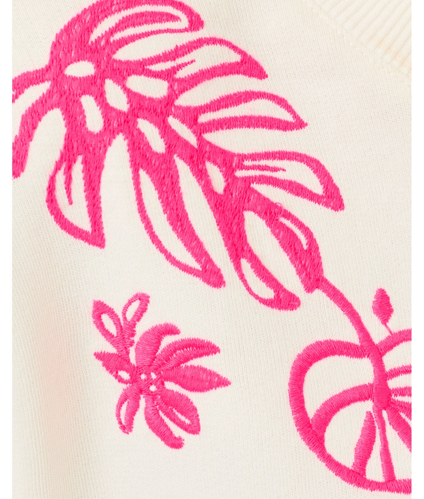 Ballad Long Sleeve Sweatshirt In Coconut Safari Social Embroidered Sweatshirt