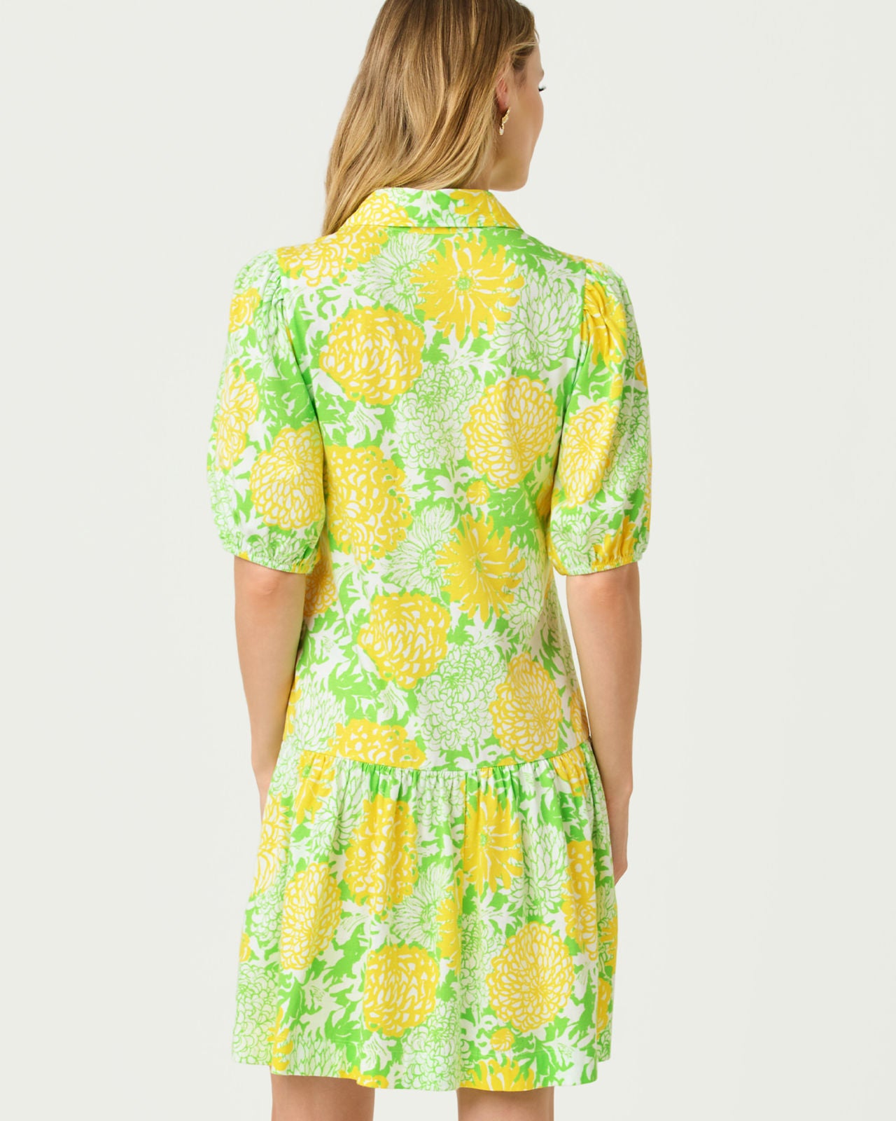 Bingley Dress In Mumbo Jumbo