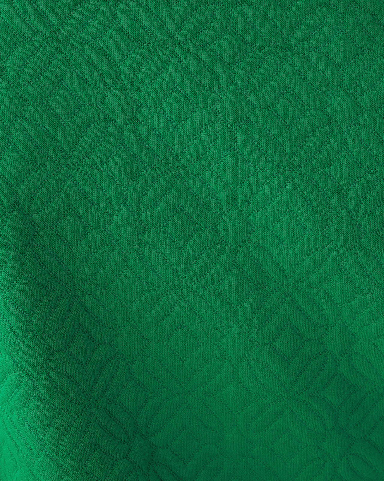 Eleni Zip-Up In Bamboo Green Butterfly Quilted Knit