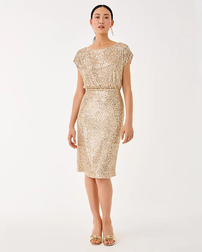 Aylin Sequin Midi Dress In Gold Metallic Treasure Box Sequin Knit