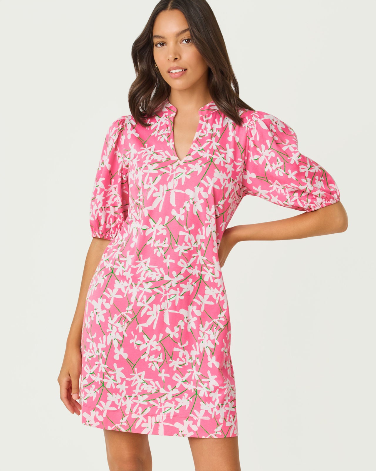 Carey Dress In Liza