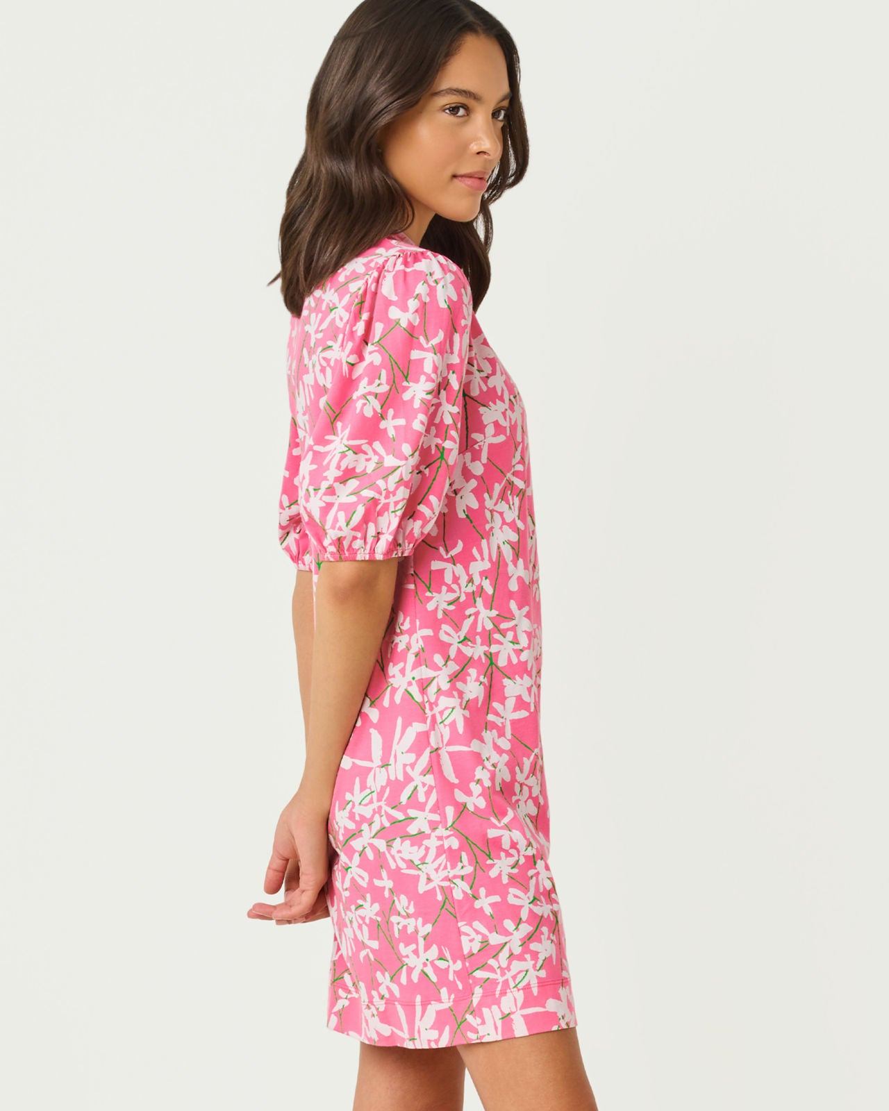 Carey Dress In Liza
