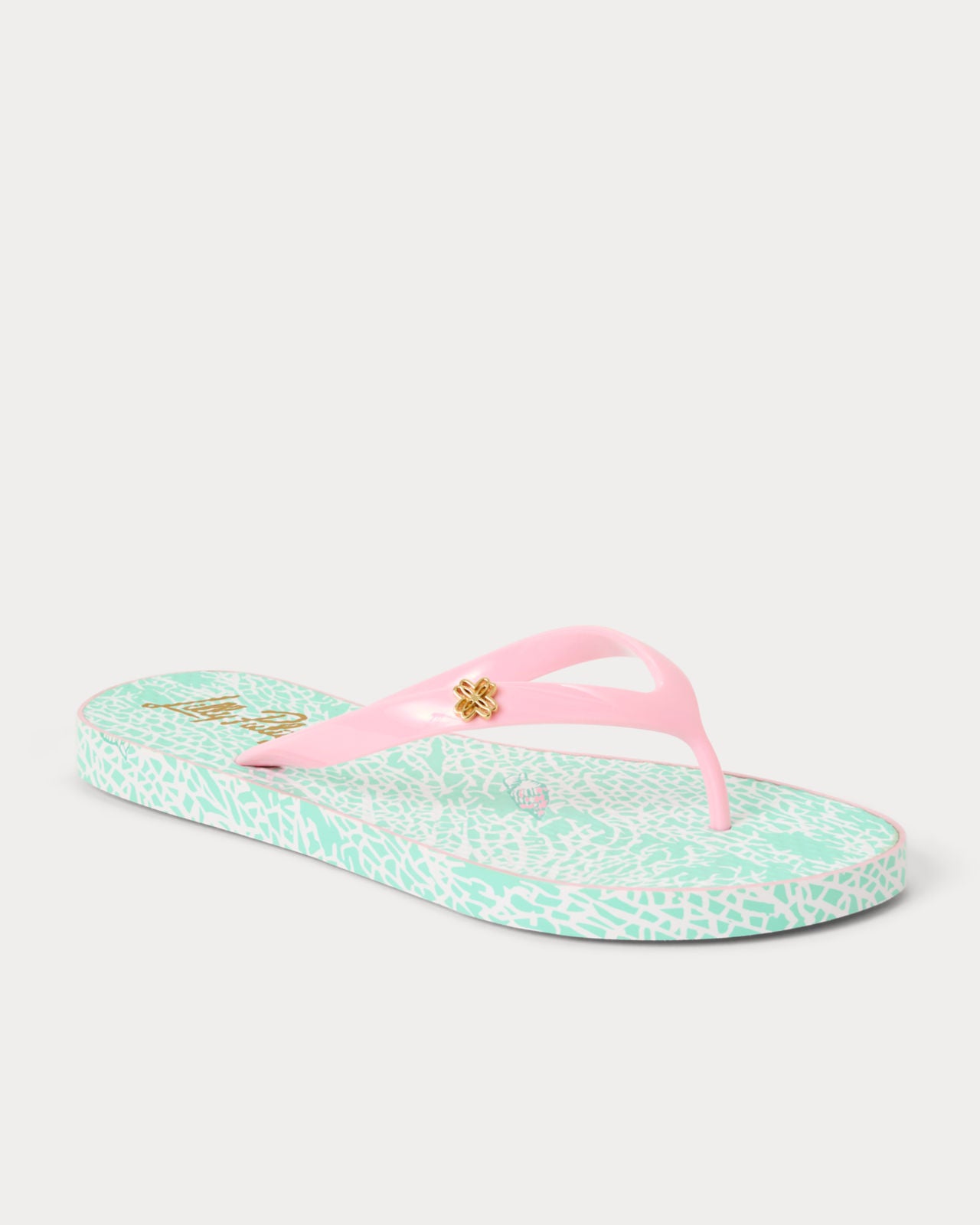 Pool Flip Flop In Fantastical