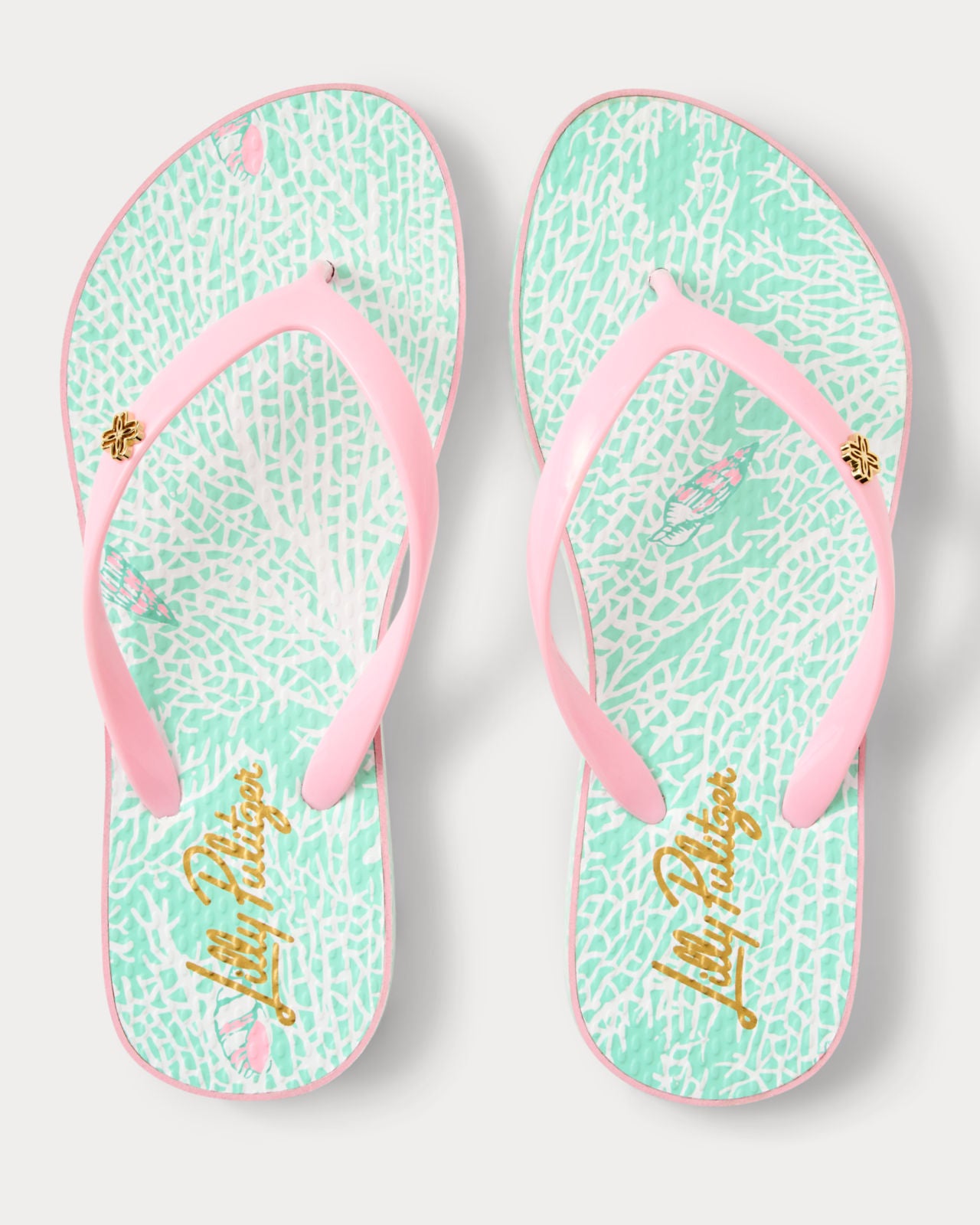Pool Flip Flop In Fantastical