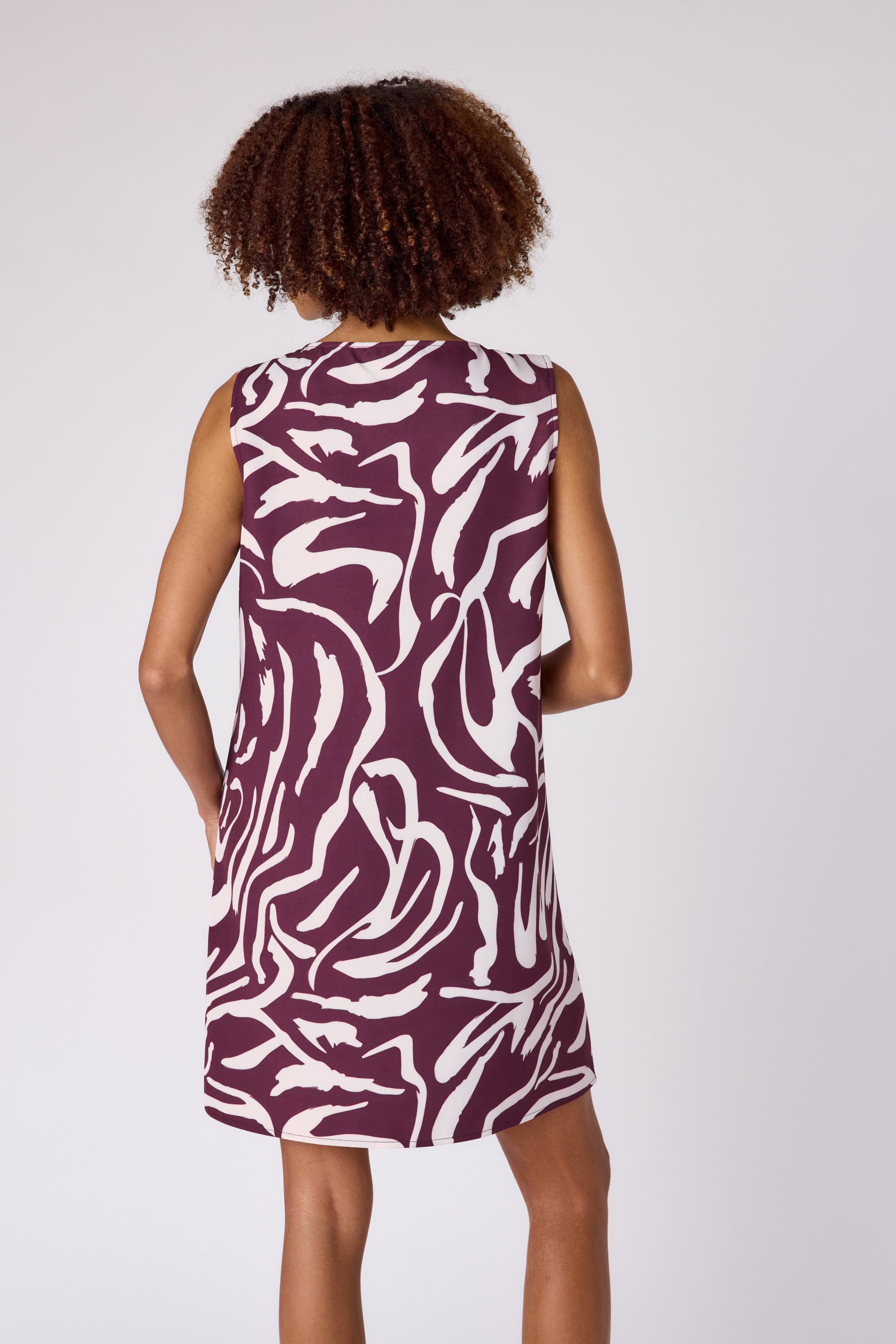 Zaire Dress in Zebra
